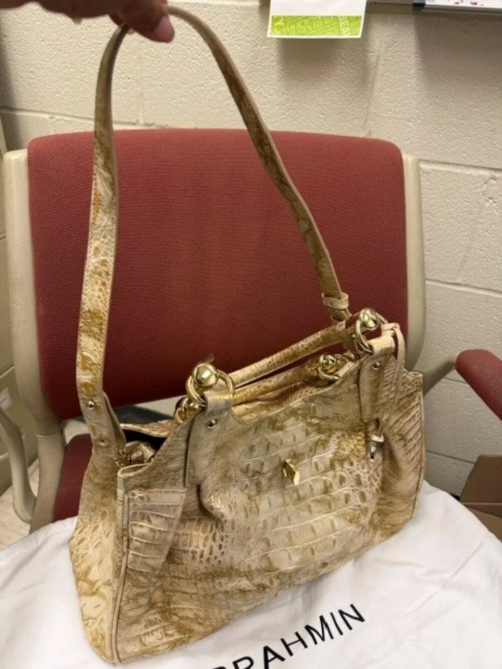 Brahmin chic python